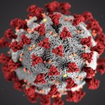 Coronavirus Harsova - Evolutie cazuri confirmate