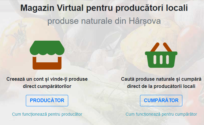 Magazin Virtual Servicii digitale Harsova